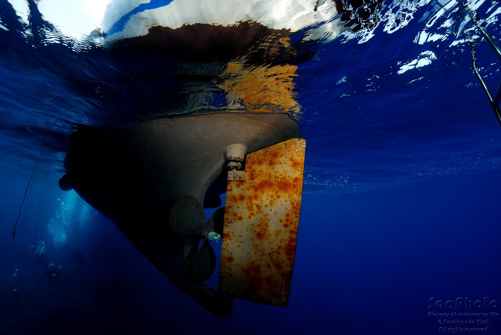 Imbarcazione "ALCYONE"