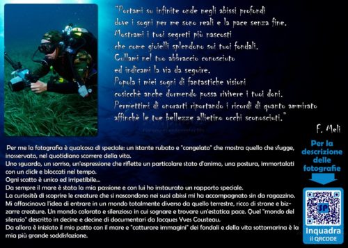 Introduzione alla mostra di fotografia subacquea