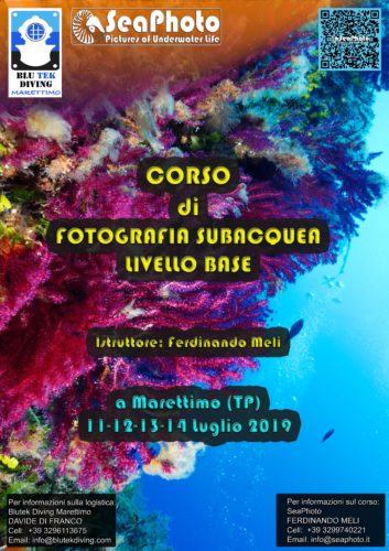 Corso Fotosub Marettimo 2019