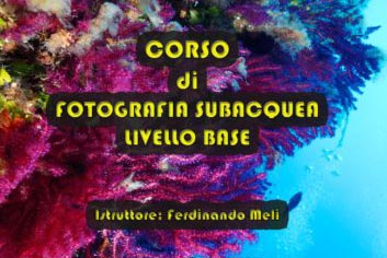 Corso di Fotografia Subacquea Livello Base